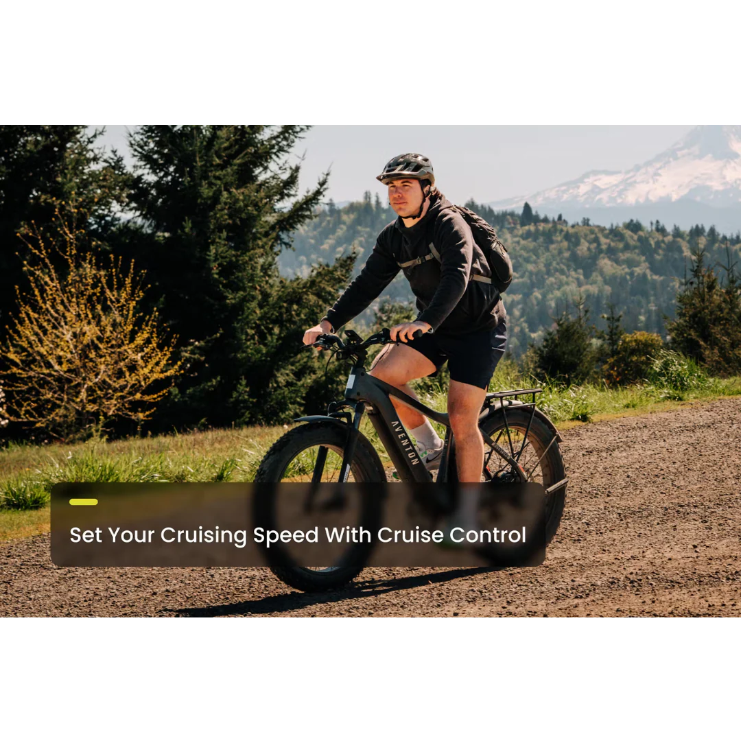 Aventon Aventure 3 Fat-Tire Ebike - Image 9