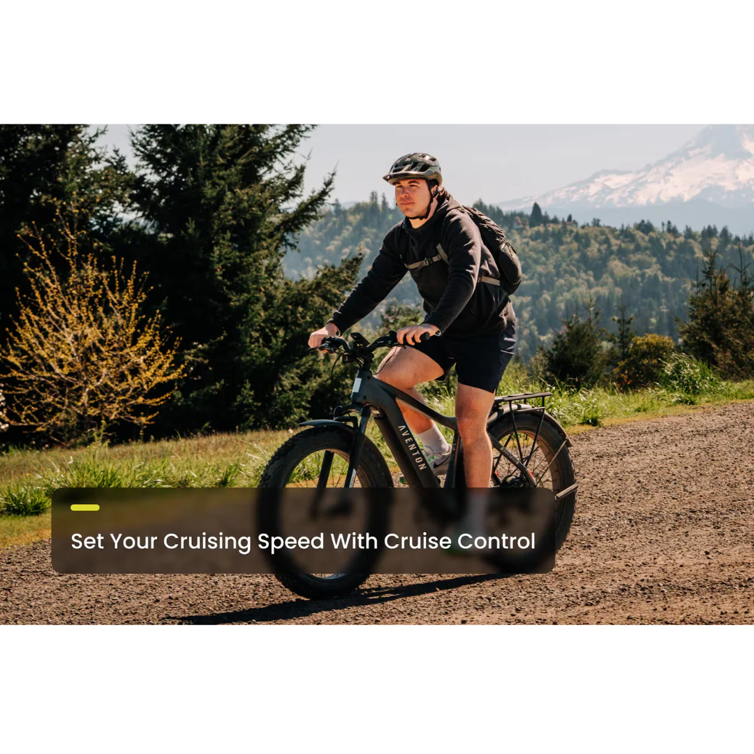 Aventon Aventure 3 Step-Through Ebike - Image 10