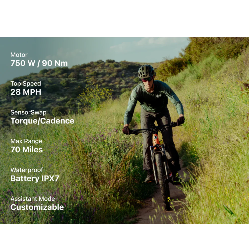 Velotric Summit 1 Ebike - Image 9