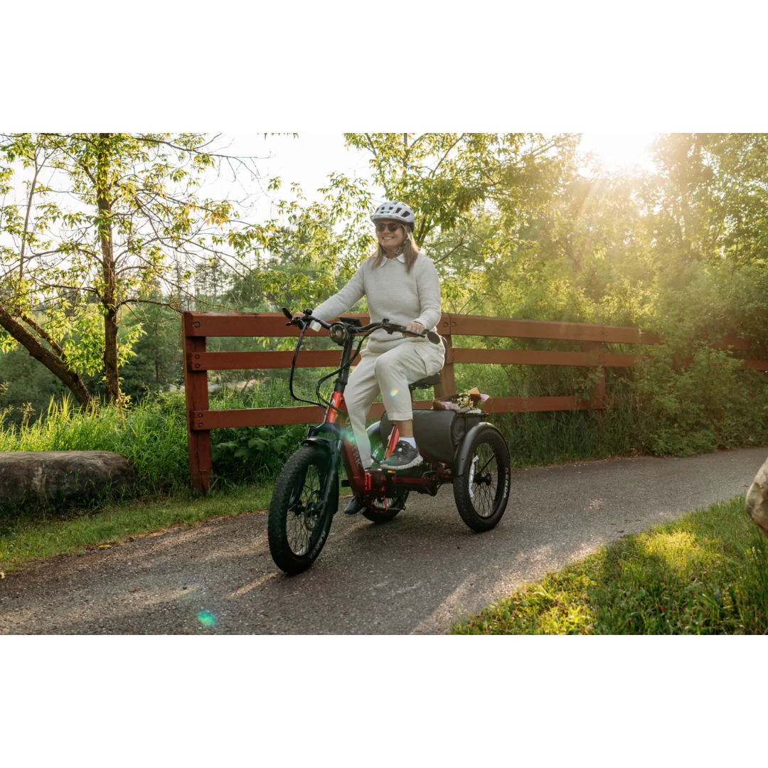 Velotric Triker Electric Tricycle - Image 6